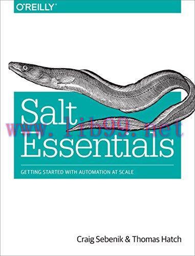 [FOX-Ebook]Salt Essentials