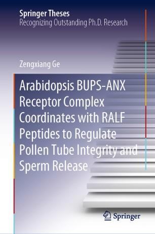Arabidopsis BUPS-ANX Receptor Complex Coordinates with RALF Peptides to Regulate Pollen Tube In...