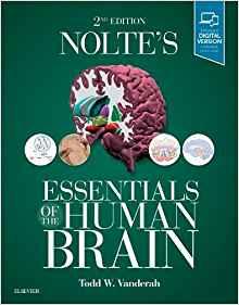 Nolte’s Essentials of the Human Brain, 2e 2nd Edition