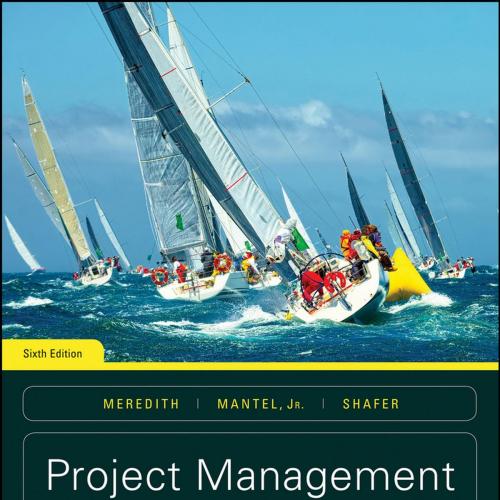 Project Management in Practice