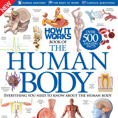 How It Works Book of the Human Body 6th Edition