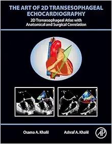 [AME]The Art of 2D Transesophageal Echocardiography (Videos Only)