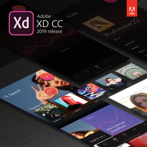 Adobe XD CC Classroom in a Book, 2019 release - Brian Wood