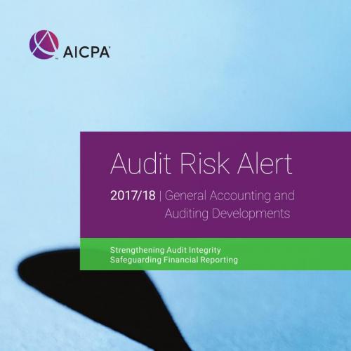 Audit Risk Alert