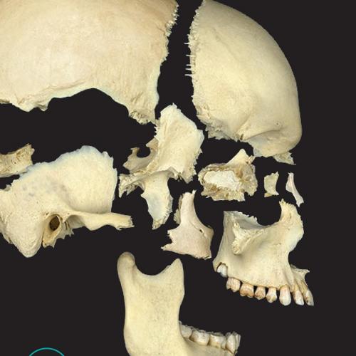 Principles of Human Anatomy, 14 - Gerard J. Tortora
