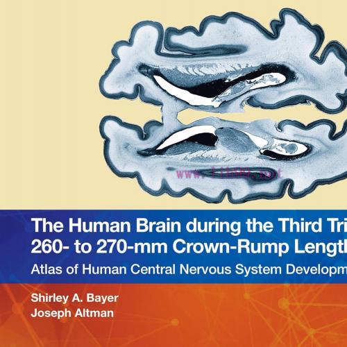 [AME]The Human Brain during the Third Trimester 260– to 270–mm Crown-Rump Lengths: Atlas of Cen...