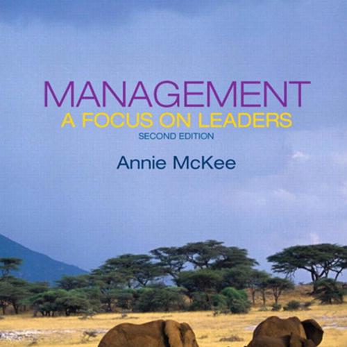 Management A Focus on Leaders 2nd Edition by Annie McKee