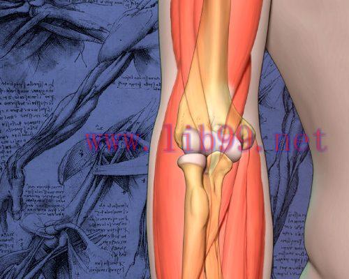 [AME]2020 Mayo Clinic Teach the Teachers Elbow Course – Forging the Future (CME VIDEOS)