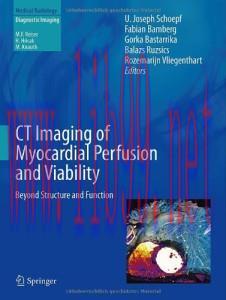 [AME]CT Imaging of Myocardial Perfusion and Viability: Beyond Structure and Function (Medical R...