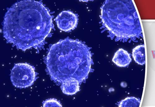 [AME]USCAP Practical Updates in Lymphoma 2018 (CME VIDEOS)