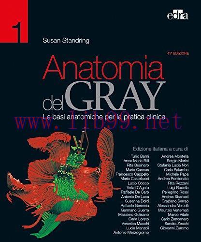 [AME]Anatomia del Gray. Le basi anatomiche per la pratica clinica, 41° edizione (EPUB + Convert...