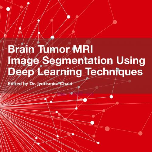 [AME]Brain Tumor MRI Image Segmentation Using Deep Learning Techniques (EPUB)