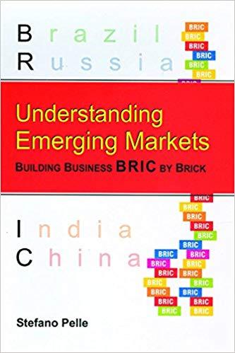 (PDF)Understanding Emerging Markets Building Business BRIC by Brick (Response Books) 1st Editio...