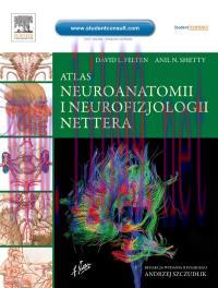 [AME]Netter’s Atlas of Neuroscience: with STUDENT CONSULT Online Access, 2nd (Original PDF)