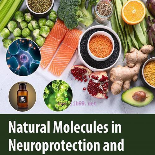 [AME]Natural Molecules in Neuroprotection and Neurotoxicity (Original PDF)