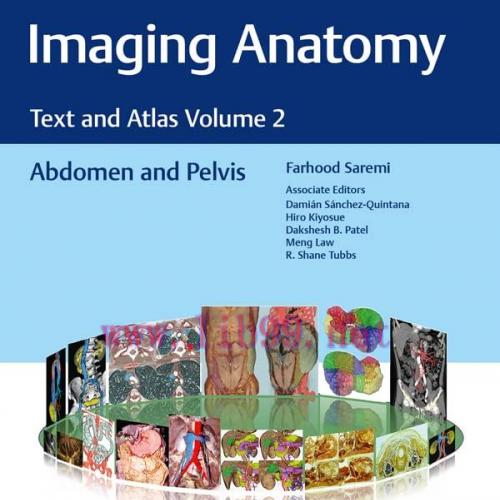 [PDF]Imaging Anatomy Text and Atlas Volume 2 Abdomen and Pelvis