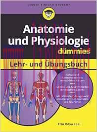 [AME]Anatomie und Physiologie Lehr- und Übungsbuch für Dummies (ePub)
