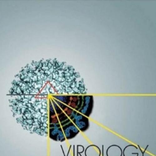 Virology_ Molecular Biology and Pathogenesis - Norkin, Leonard