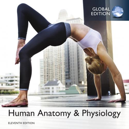 Human Anatomy & Physiology, 11th Global Edition By Elaine N. Marieb 120Yuan