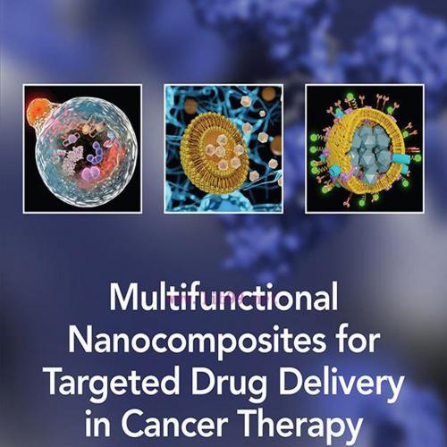 [AME]Multifunctional Nanocomposites for Targeted Drug Delivery in Cancer Therapy (EPUB)