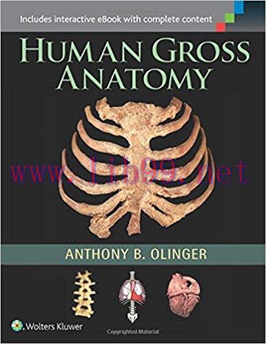 [PDF]Human Gross Anatomy