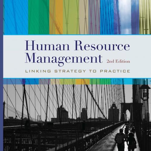 Human Resource Management Linking Strategy to Practice 2nd Edition - laserwords