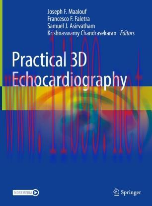 Practical 3D Echocardiography