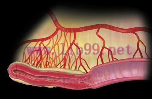 [AME]MRIOnline Imaging Mastery Series Crohn’s Disease 2021 (CME VIDEOS)