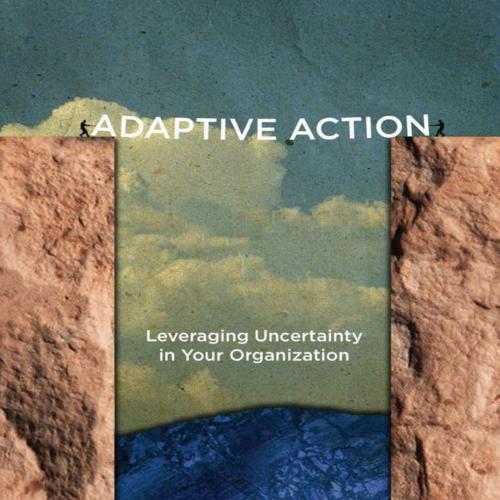 Adaptive Action Leveraging Uncertainty in Your Organization 1st - Glenda H. Eoyang