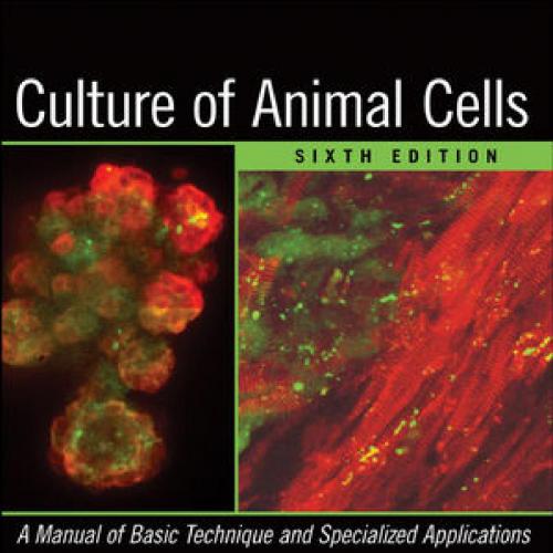 Culture of Animal Cells-A Manual of Basic Technique and Specialized Applications 6e