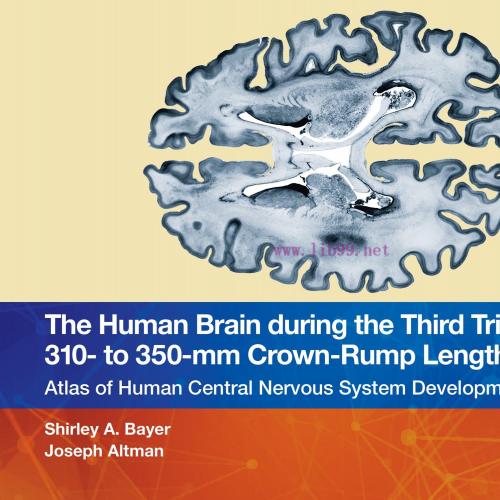 [AME]The Human Brain during the Third Trimester 310– to 350–mm Crown-Rump Lengths: Atlas of Cen...