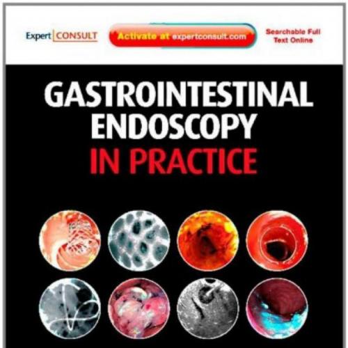Gastrointestinal Endoscopy in Practice