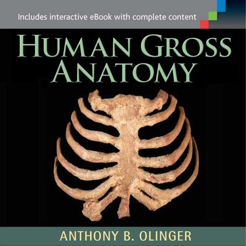 Human Gross Anatomy