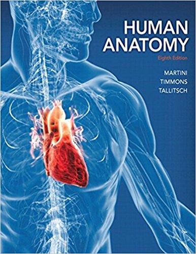 Human Anatomy, 8e (Martini)