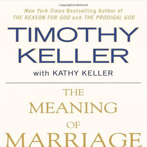 Meaning of Marriage Facing the Complexities of Commitment with the Wisdom of God, The