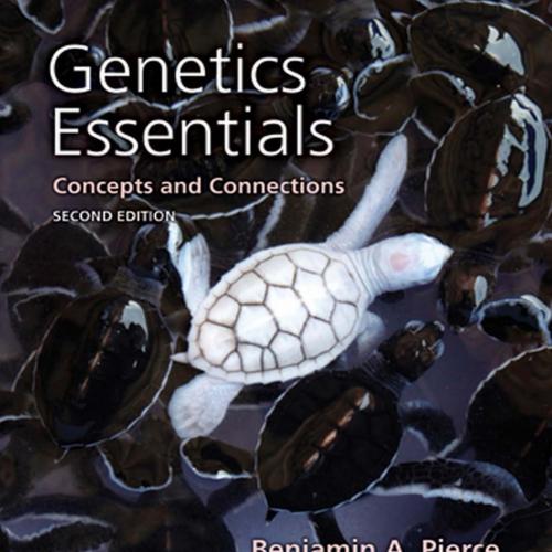 Genetics Essentials Concepts and Connections 2nd Edition by Benjamin A. Pierce