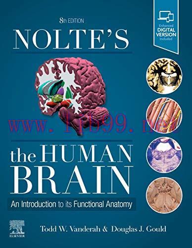 [AME]Nolte's The Human Brain: An Introduction to its Functional Anatomy, 8th Edition (Original ...