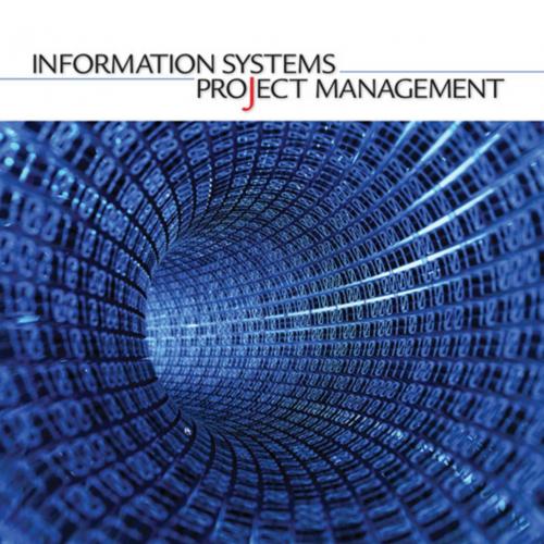 Information Systems Project Management
