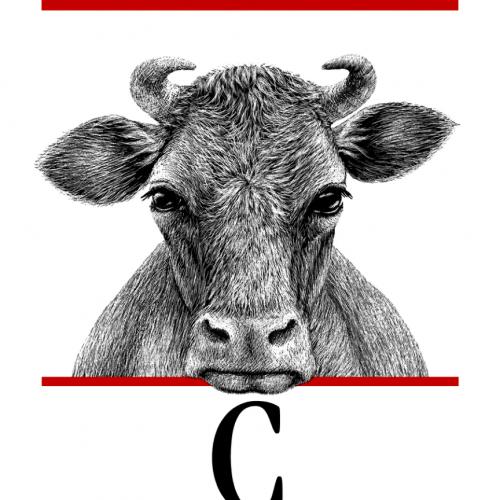 C in a Nutshell