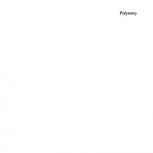 Polysemy Flexible Patterns of Meaning