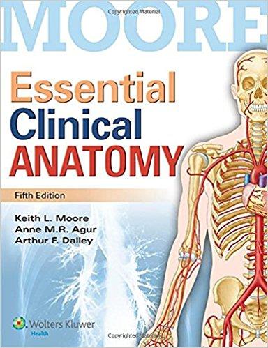 Essential Clinical Anatomy 5th ed