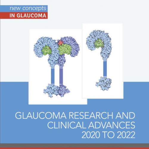 Glaucoma Research and Clinical Advances 2020 to 2022