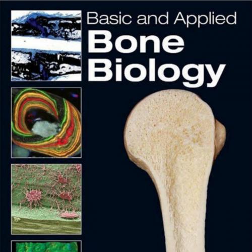 Basic and Applied-Bone Biology - 4_8=8AB@0B_@