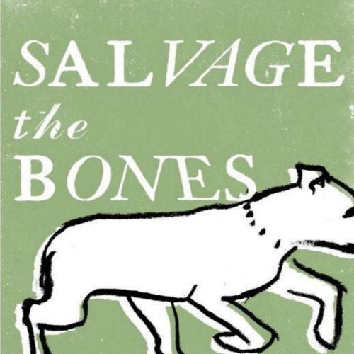 Salvage the Bones
