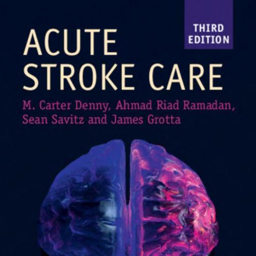 Acute Stroke Care 3rd Edition 1108731325