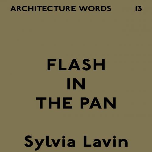 Architecture Words 13_ Flash in the Pan