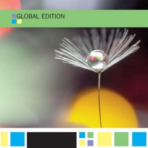 International Finance 7th Global Edition by Cheol Eun,Bruce