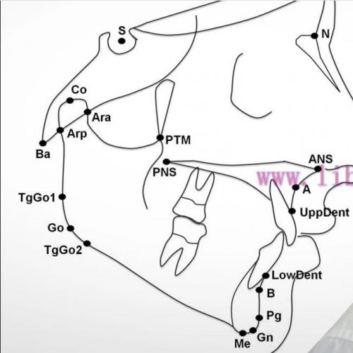 [AME]OHI-S Cephalometric Analysis From_ A to Z Everything a Dentist Should Know 2023 (Videos)