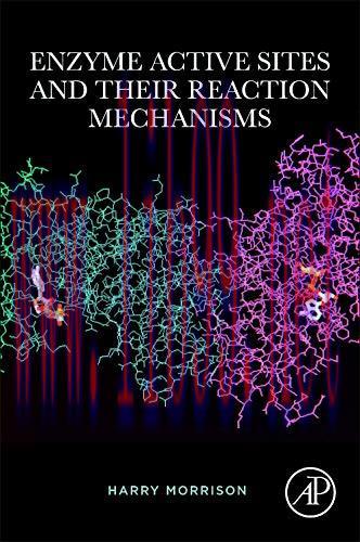 [AME]Enzyme Active Sites and their Reaction Mechanisms (Original PDF)