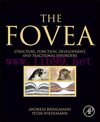 [AME]The Fovea: Structure, Function, Development, and Tractional Disorders (Original PDF)